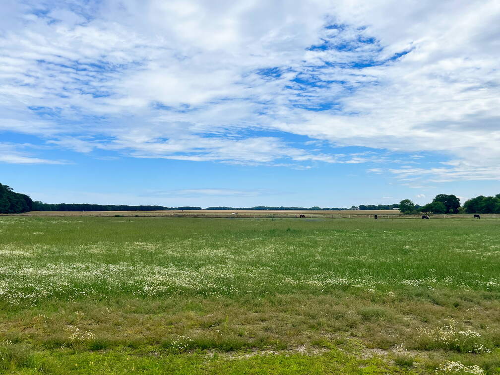 24-07-01 12-20-34 0065